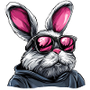 Neon Sunglasses Bunny in Hoodie