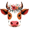 Vache
