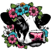 Vache