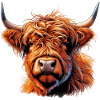 Scottish Highland Cow