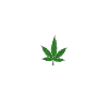 Cannabis Leaf ECG
