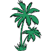 Palm tree
