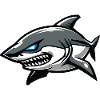shark