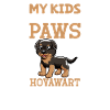 Hovawart Papa