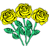 Yellow Roses