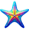 Starfish