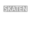 Skateboard Skater