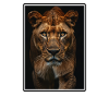 Lioness Lionesses Lioness