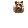 Lioness Lionesses Lioness