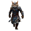 Viking cat