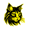 Cat Animal Portrait
