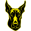 Doberman Dog Animal Portrait