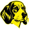 Beagle Dog Animal Portrait