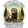 Save Iltis Schwarzfussiltis
