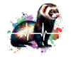 ECG d’Iltis Schwarzfussiltis