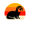 Iltis Schwarzfussiltis Dictons