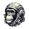 Silver space chimpanzee