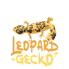 Chillin avec mon gecko léopard