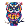 Cute Owl Kawaii Mascot