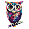 Cute Owl Kawaii Mascot