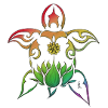 Rainbow Turtle