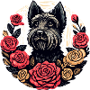 Scottish Terrier