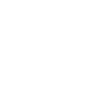 Cocker Spaniel - Dog Fan