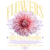 Chrysanthème Fleurs de chrysanthème