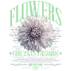 Chrysanthemum Chrysanthemum Flower Flowers