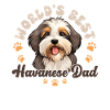 Havaneser Dog Havanese Dad