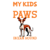 Podenco Ibicenco Papa