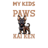 Kai Ken Papa