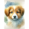 Aquarell Puppy