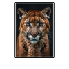 Cougar Mountain Lion Mountain Lion