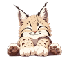 Lynx Luchse Luchs