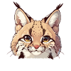 Lynx Luchse Luchs