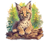 Lynx Luchse Luchs
