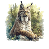 Lynx Luchse Luchs