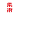 Jiu Jitsu