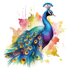 Peacock Peacock Feather Exotic Colorful Colorful Art