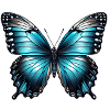 Schmetterling