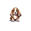 Basset Hound Gifts