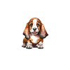 Basset Hound Gifts