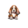 Basset Hound Gifts