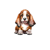 Basset Hound Gifts