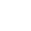 Lacrosse Players