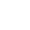 Wheaten Terrier
