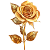 Rose dorée