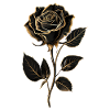 Black Rose