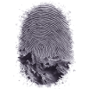 Fingerprint of Mountains Artwork